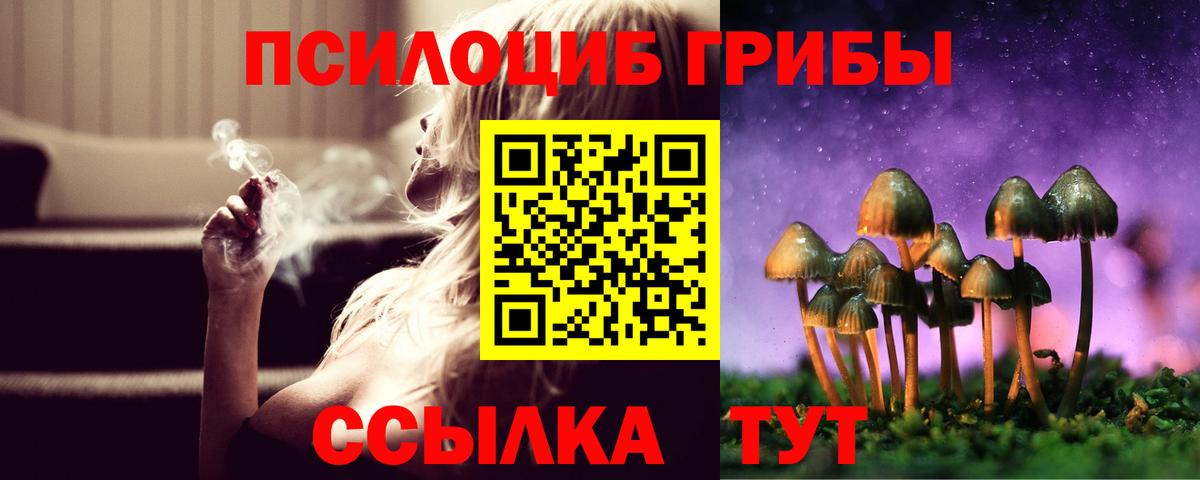 Псилоцибиновые грибы Cubensis Элиста